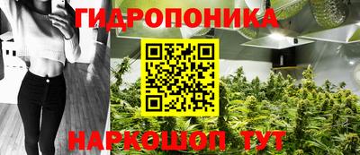 эйфоретик Аргун