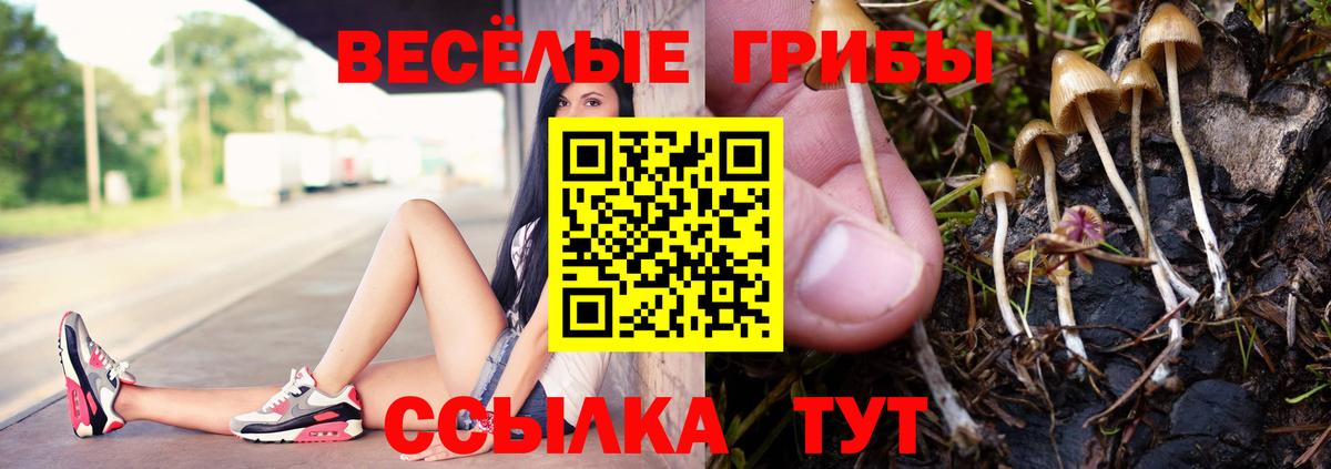 Вятские Поляны  Псилоцибиновые грибы мухоморы  купить наркоту  Вход с VPN 
