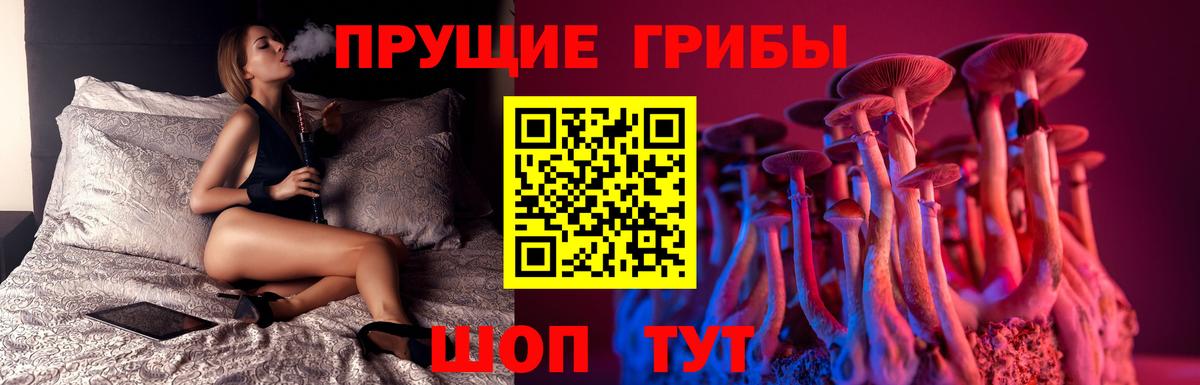 Галлюциногенные грибы ЛСД Вятские Поляны